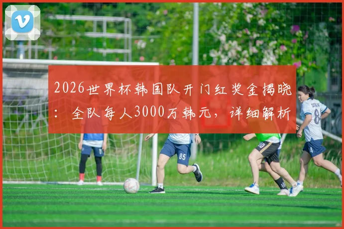 2026世界杯韩国队开门红奖金揭晓：全队每人3000万韩元，详细解析赢球奖金分配机制