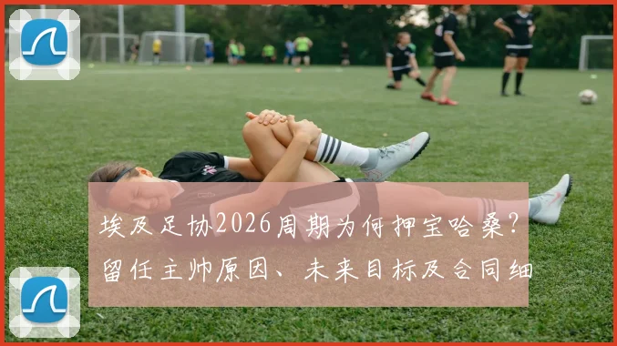 埃及足协2026周期为何押宝哈桑?留任主帅原因、未来目标及合同细节深度解读