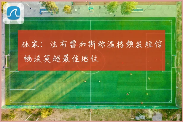 独家：法布雷加斯称温格频发短信 畅谈英超最佳地位