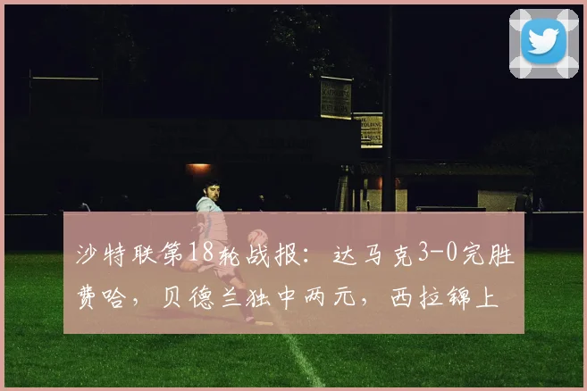 沙特联第18轮战报:达马克3-0完胜费哈,贝德兰独中两元,西拉锦上添花